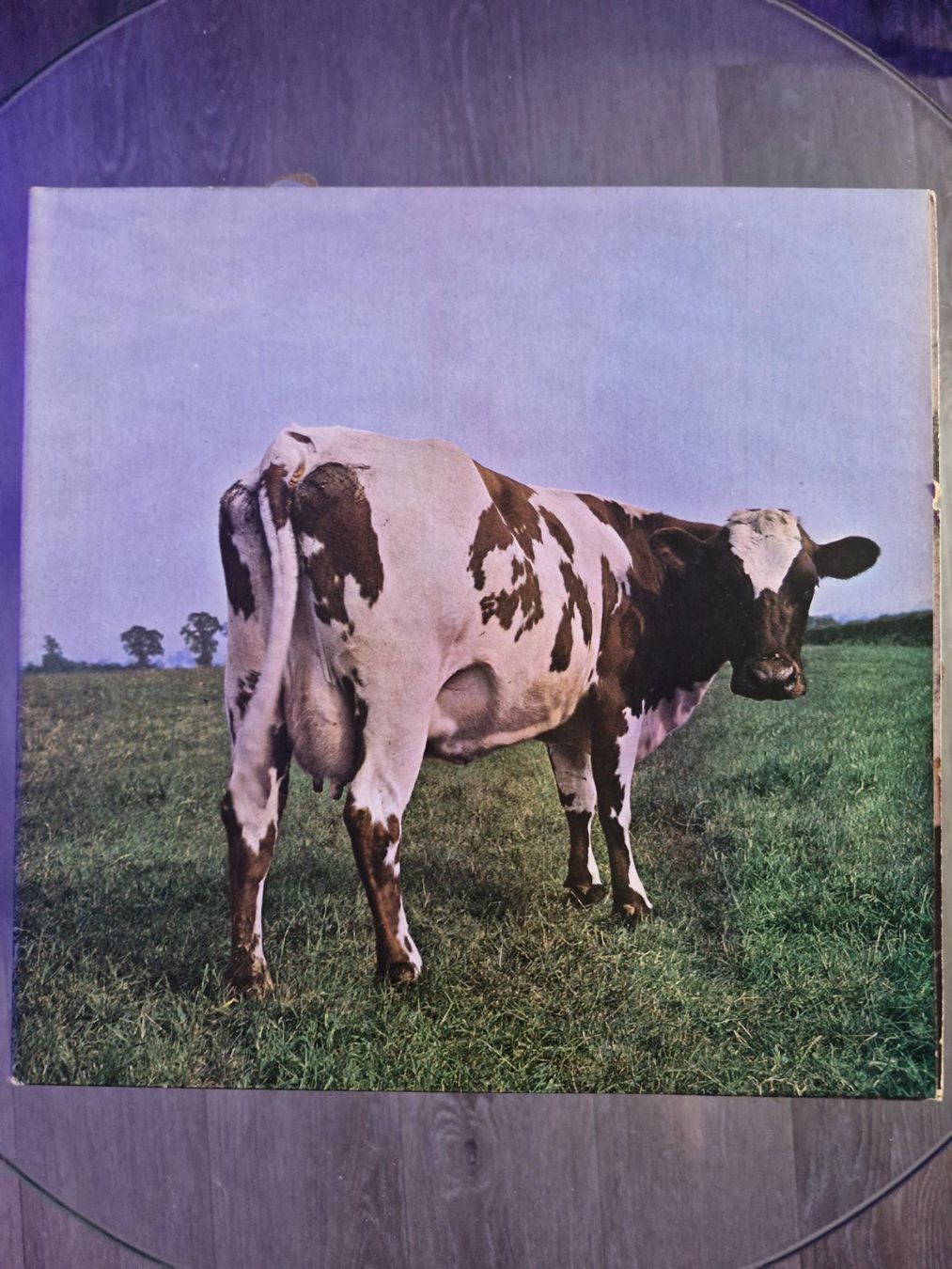 Schallplatten: LP - Pink Floyd - Atom Heart Mother - Vinyl – Gebraucht aus Aadorf von MediaGuru
