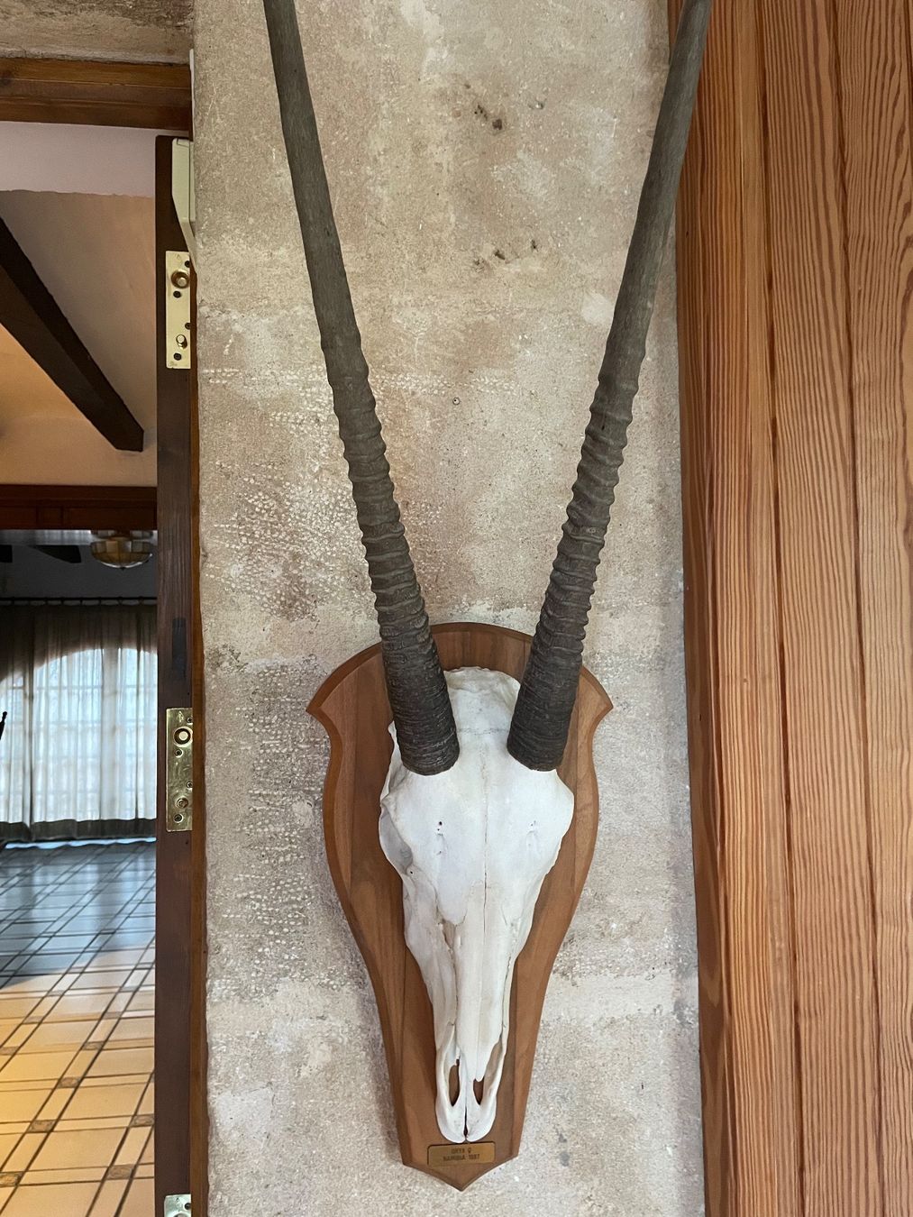 Altre raccolte & rarità: Antilope 1 M – Usato da Schlatt TG venduto da kahlofrida50