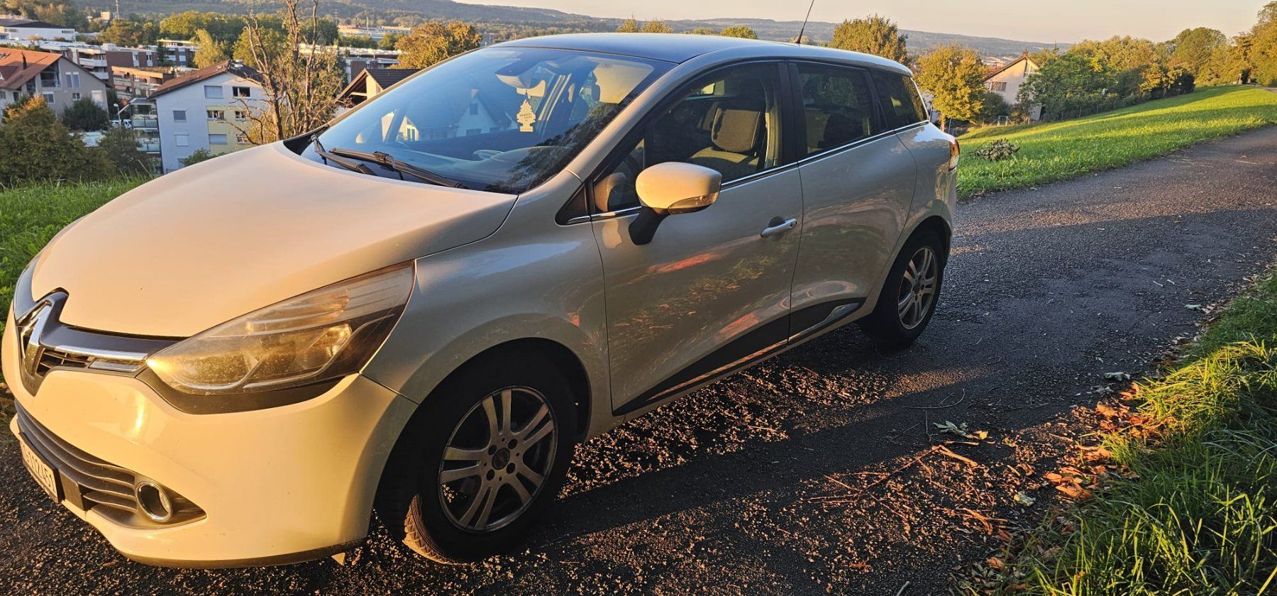 Renault Automobili: Renault Clio 1.5 dci – Usato da Frauenfeld venduto da deno_4161 1