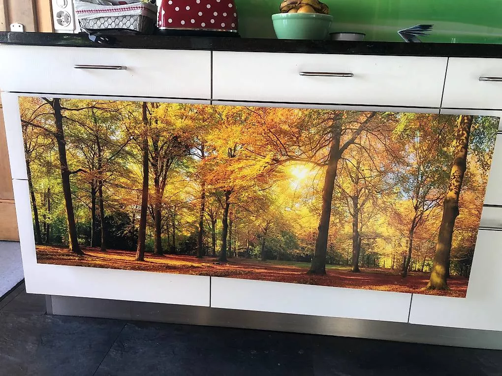 Poster & Bilder: Bild Herbstwald – Gebraucht aus Matten(St.Stephan) von ren_r8tw 1