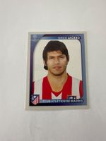 Panini UEFA Champions League 2008-2009 - Nr. 91