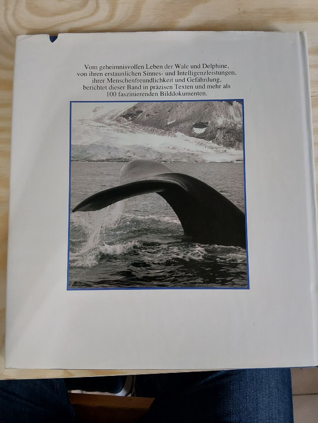 Libri: Wale und Delphine – Usato da Grolley venduto da Montana78 1