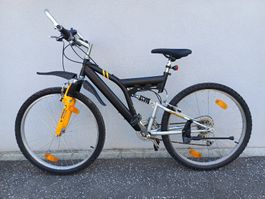 Mountainbike Fully ab Service