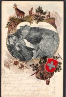 AK Prägekarte Säntis , 1903