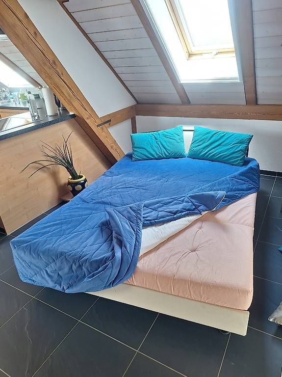 Divani: Bettsofa, ausgeklappt 190×140 cm – Usato da Bühl BE venduto da iischfuchs 1