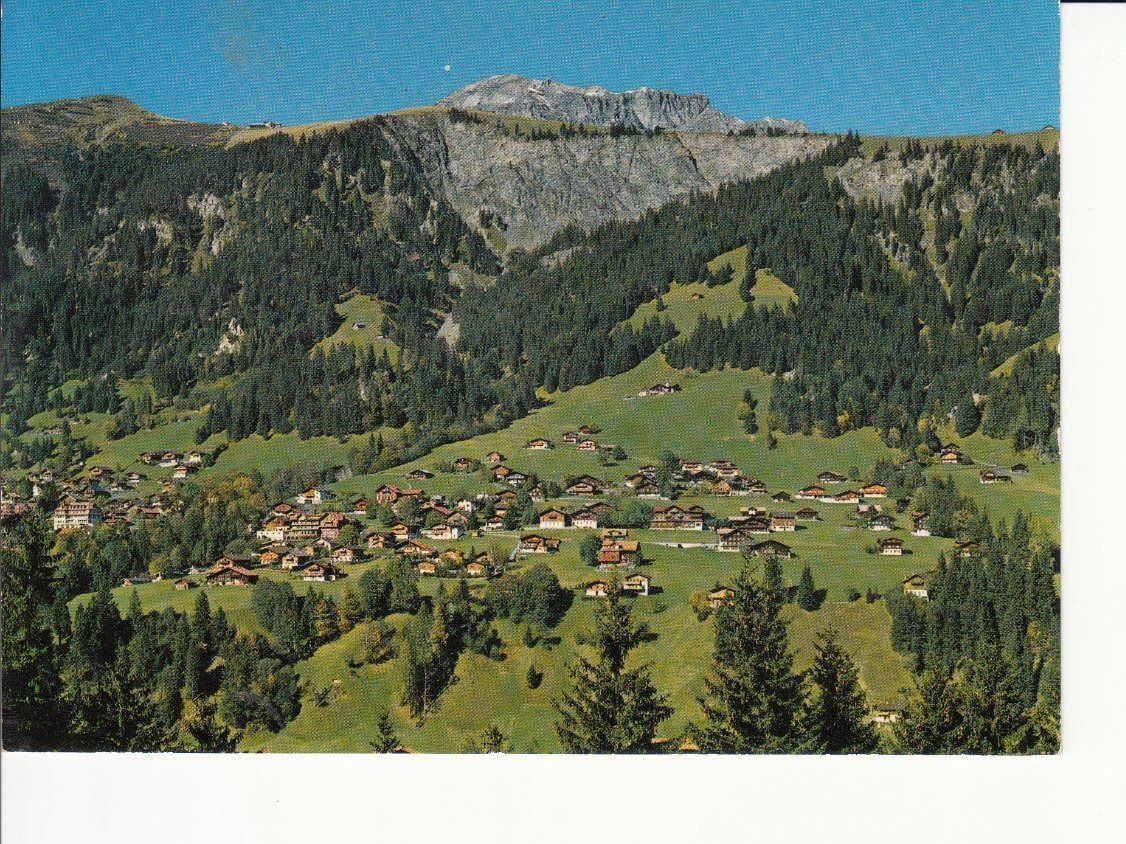 Cartoline postali: Schlegeli, ca. 1970 – Usato da Bürglen TG venduto da StampGraf