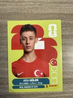 Panini Fifa TUR 14