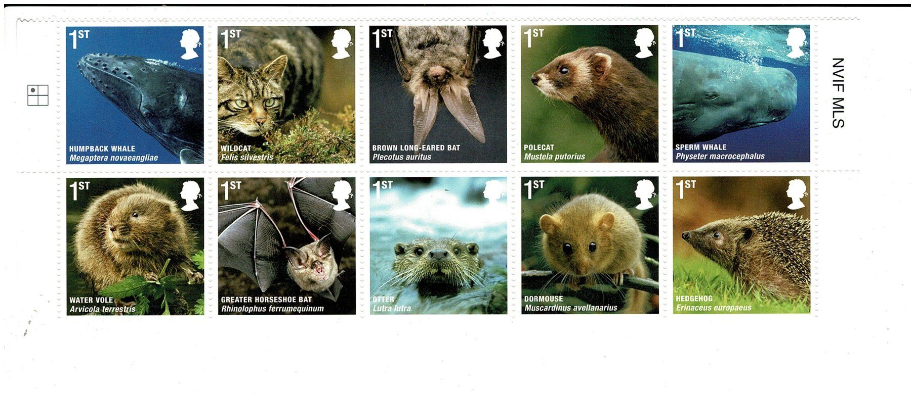 Alle Briefmarken: UK Wildtiere 1 Streifen ** – Neu (gemäss Beschreibung) aus Lausanne von Whorvath