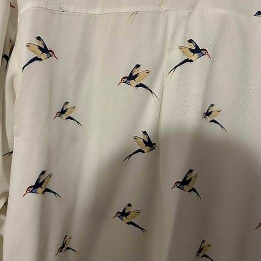 Zara Camicette: ZARA SHIRT SIZE: XS – Usato da Schlieren venduto da jul_yrw7 1