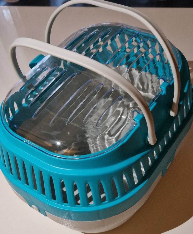 RIOLIS Forêt Wirtin Croix Contenu Du, Coton, Multicolore, 30