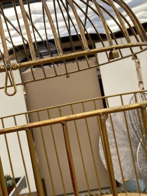 Gabbie, trasporto & Sicurezza: Grosses Deko-Käfig – Nuovo (secondo la descrizione) da Sursee venduto da pflugshaupt01 4