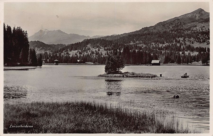 Cartoline postali: Lenzerheidesee, Feldpost GEB.FÜS.KP. II/85 – Usato da Frauenfeld venduto da POML