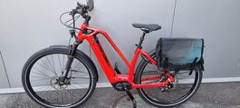 Flyer E-Bike ,Goutour6 7.83 Mixed, 14- Gang Rohloff