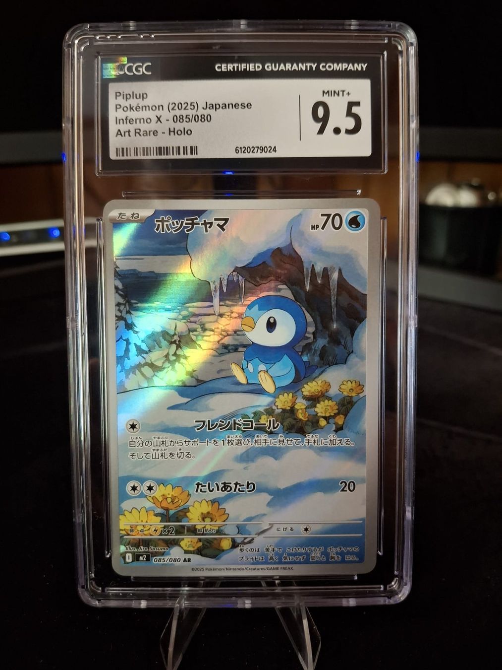 Pokémon Carte collezionabili: Pokemon - Piplup AR - M2 - 085/080 - JP - CGC 9.5 – Nuovo (secondo la descrizione) da Trub venduto da PM94