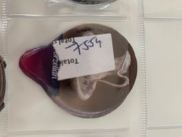 7554A China Porzellan Gastro