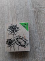 *** STEMPEL HOLZ ***