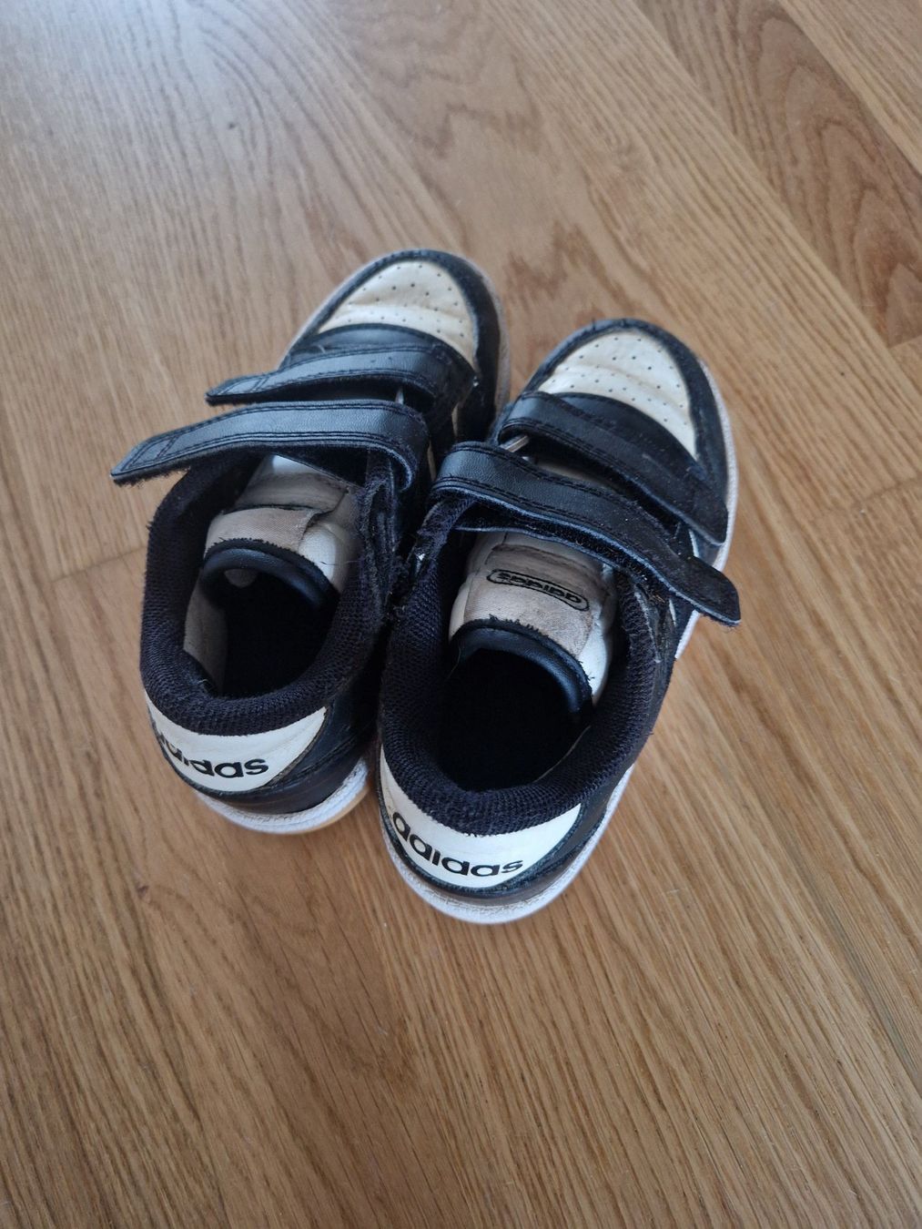 Adidas Schuhe für Jungen: Adidas Turnschuhe – Gebraucht aus Benglen von Succes7 1