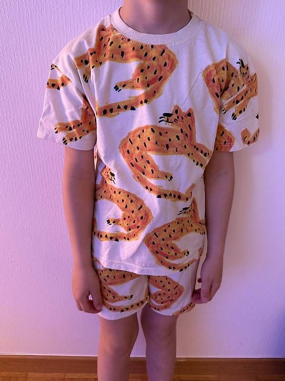Kleiderpakete & -sets: Set Zara Gr. 116 Gepard – Gebraucht aus Küsnacht ZH von Leen 1