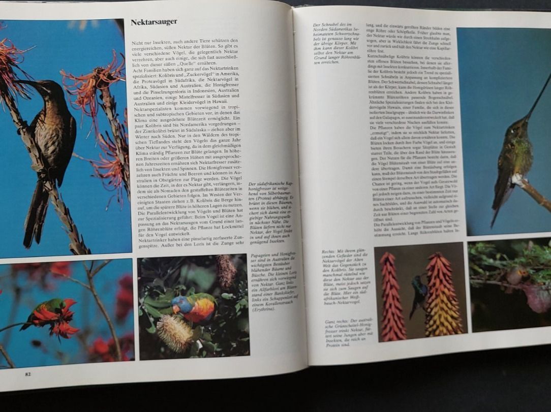 Libri: Das Leben der Vögel /Robert Burton – Usato da Zürich venduto da t24_de 5