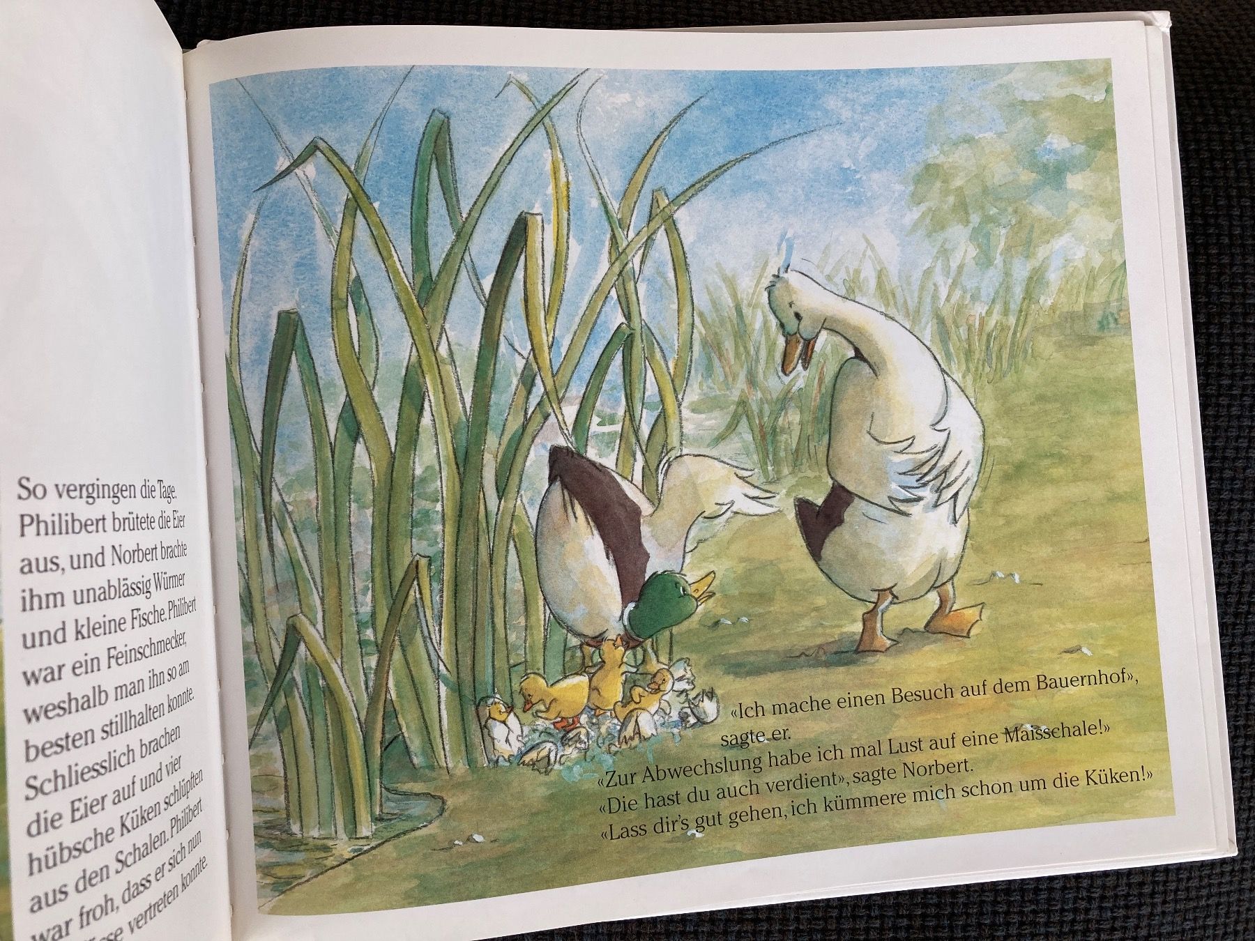 Bücher: Norbert und die verschwundenen Eier, Kinderbuch – Gebraucht aus Baden von Yoyo1 3
