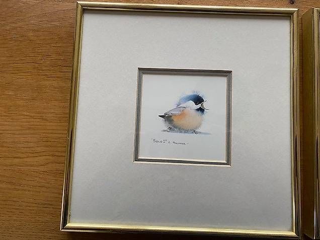 Poster & Bilder: Val Pfeiffer gerahmte Bilder mit Singvogel – Gebraucht aus Adlikon von Fordgalaxie 1