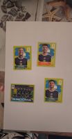 Panini Sammelkarten Schottland Fussball Spieler