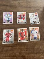 Panini Extra Sticker