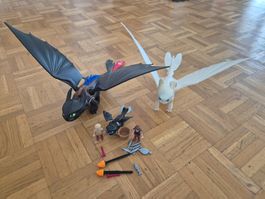 Playmobil Dragons