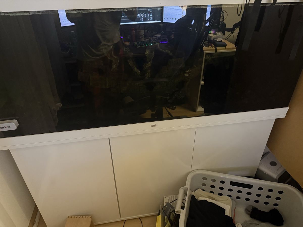 Aquarium: Aquarium 450L – Gebraucht aus Lutzenberg von cyr_w8p7