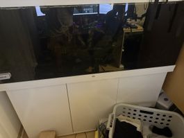 Aquarium 450L