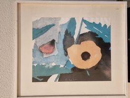 Ferdinand Gehr - Druck 1972