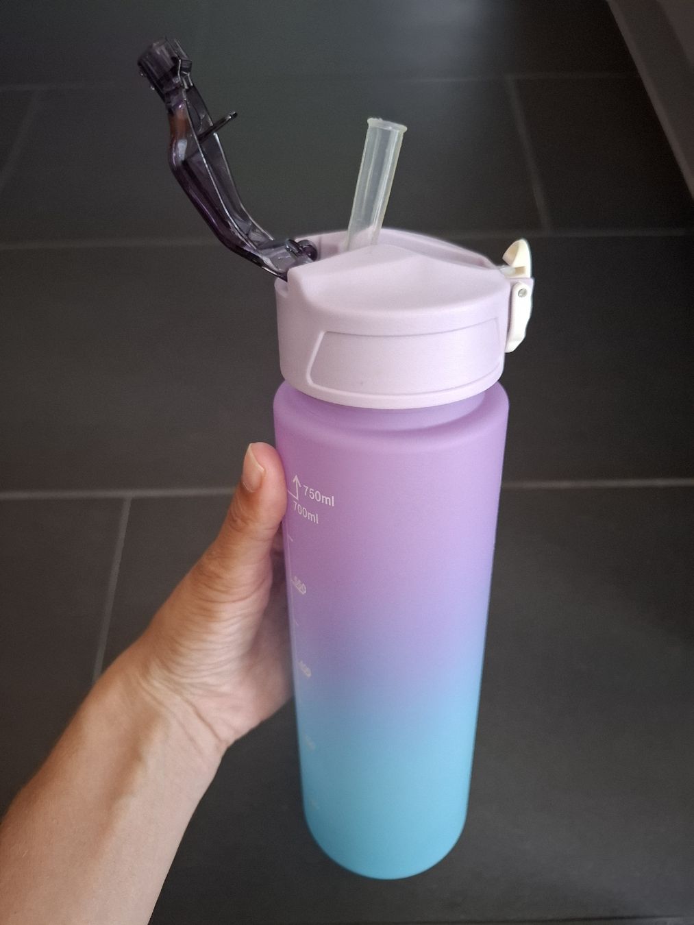 Borracce & Thermos: Trinkflasche 750ml mit Skala neu – Nuovo (secondo la descrizione) da Roggwil BE venduto da mirjamsel 1