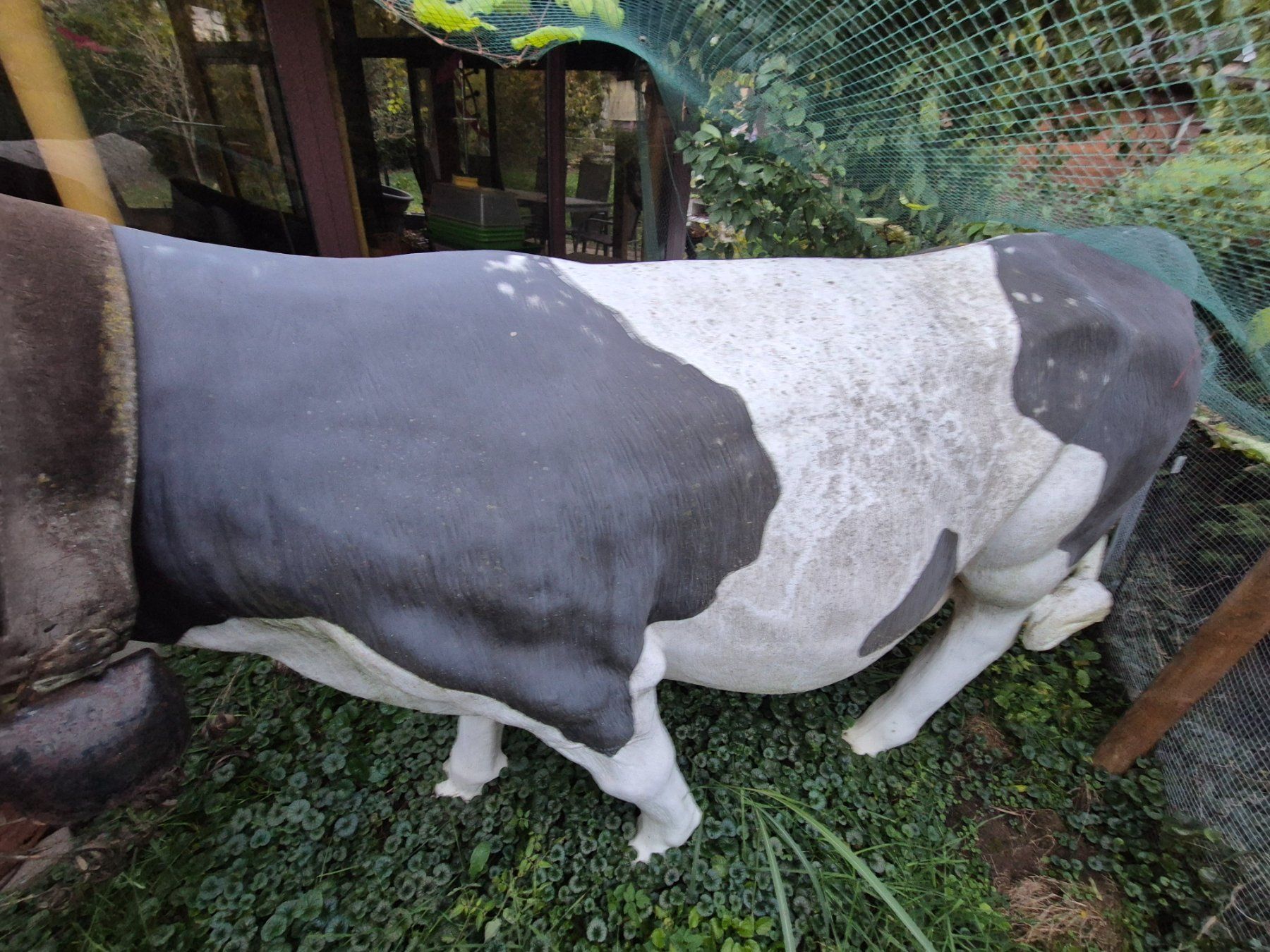 Sculture & Statue: Kuh lebensgross – Usato da Aegerten venduto da Herbst_ 2