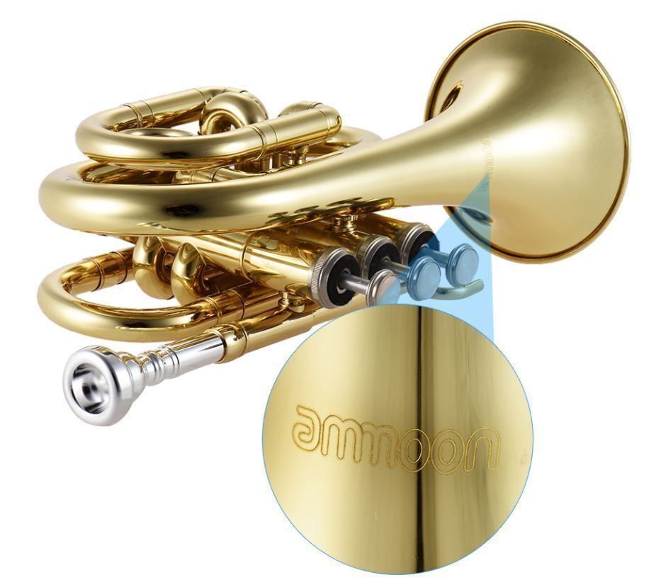 Strumenti musicali: Mini Taschentrompete – Nuovo (secondo la descrizione) da Chur venduto da _xtronix_ 7