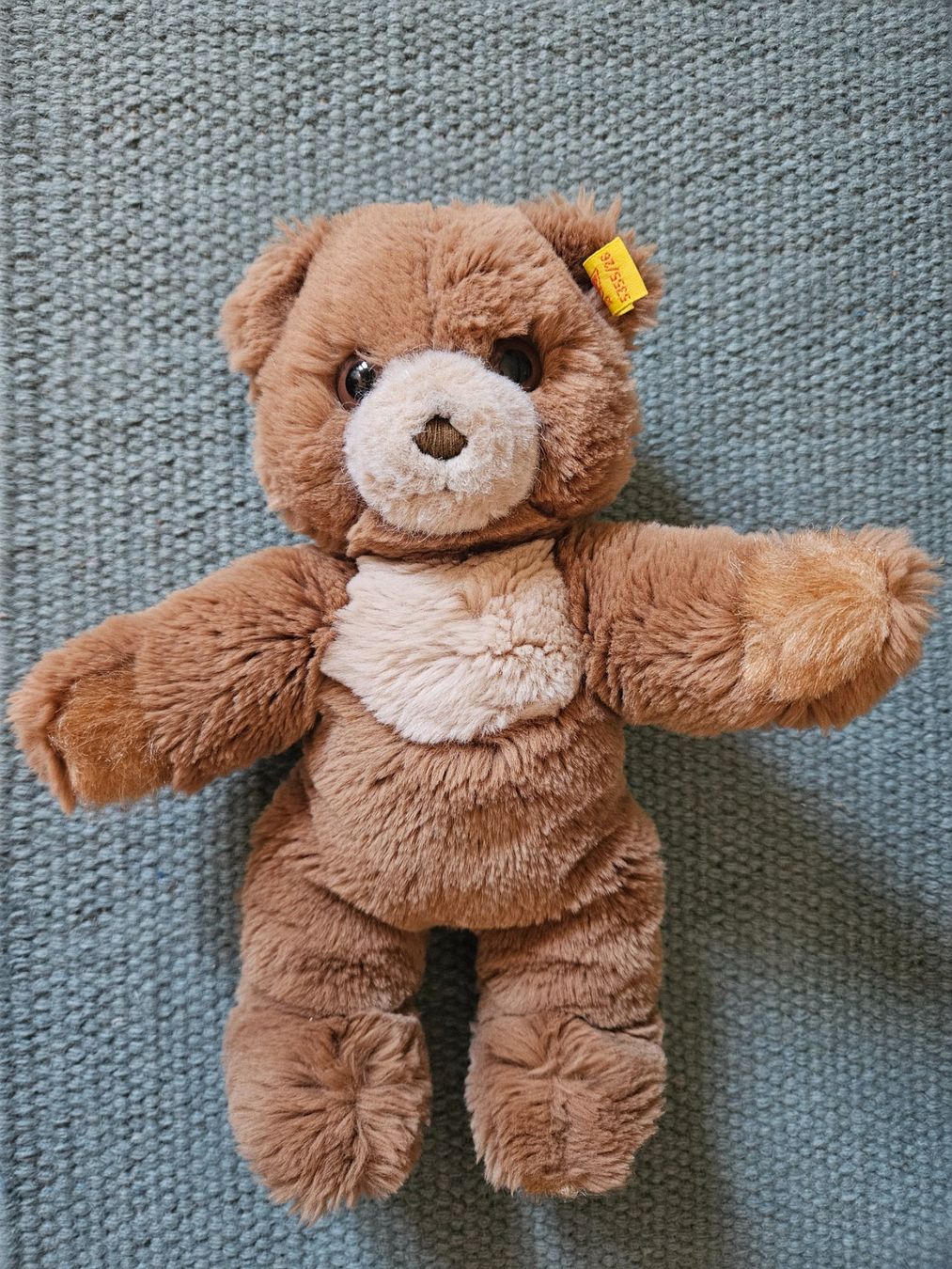Steiff Spielzeuge: Kuschliger Steiff Teddybär – Gebraucht aus Rifferswil von fle_5nqr