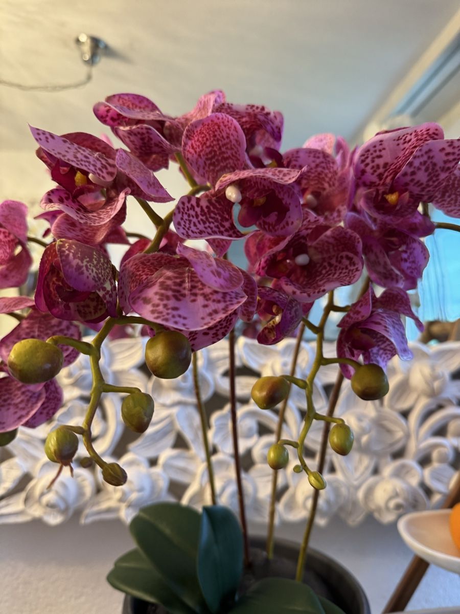 Tutte le decorazioni: Künstliche Orchideen lilac New – Nuovo (secondo la descrizione) da Zürich venduto da Privat4444 2