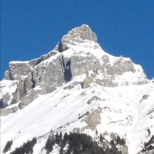 Profile image of luso74
