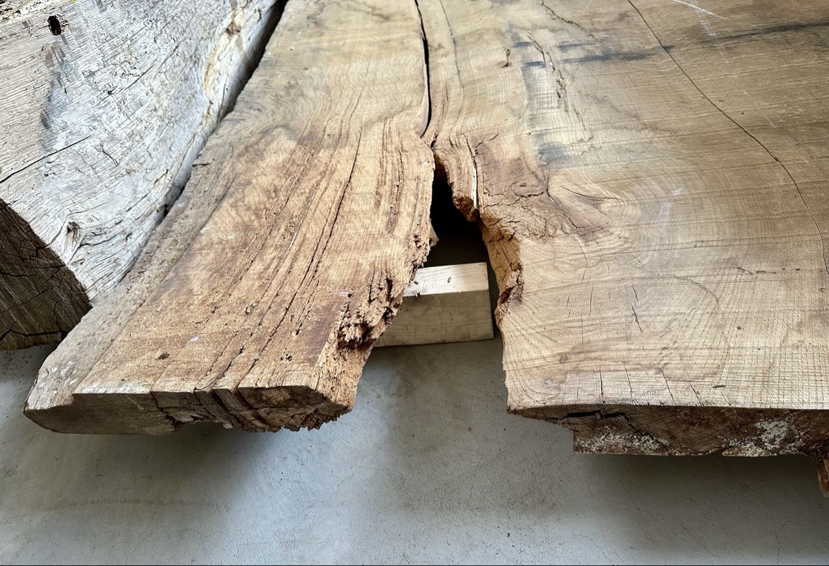 Articoli in legno: Eiche, Platte, Bohle, Eichenbohle, Baumscheibe, Esstisch – Nuovo (secondo la descrizione) da Meggen venduto da deanstreet 7