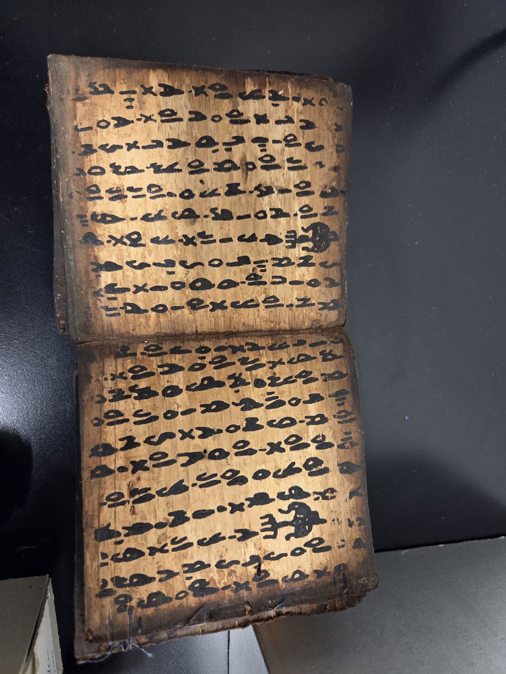Libri: Batak Schamanen Buch  – Usato da Dietikon venduto da Allegra34 5