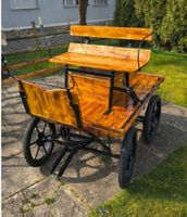 shetty/ponykutsche