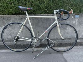 Coronado Rennvelo