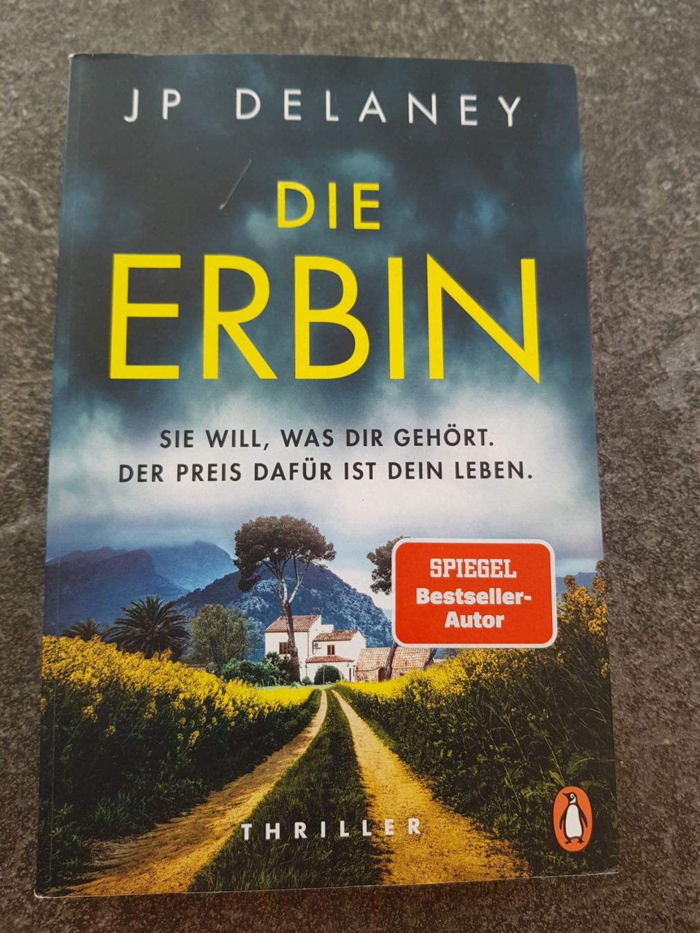 Libri: DIE ERBIN / JP Delaney / Thriller – Usato da Dietikon venduto da marconi07