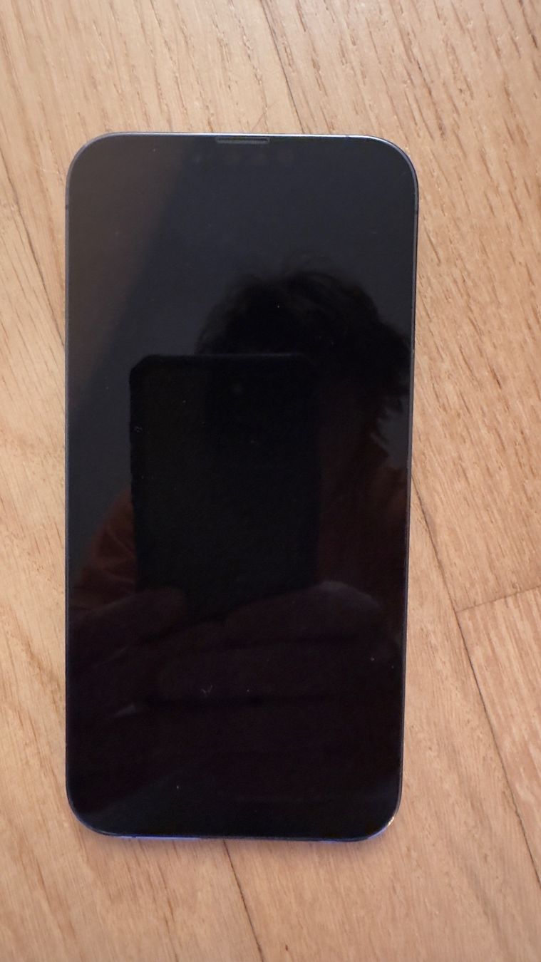 Apple Telefoni cellulari / Smartphones: iPhone 13 Pro Max - 128 GB – Usato da Küsnacht ZH venduto da Gila1983