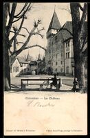 AK Colombier, Le Château