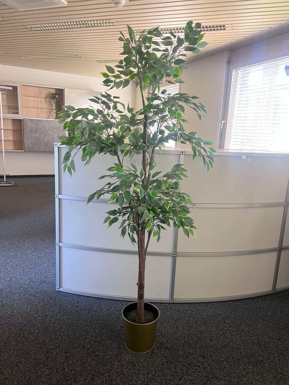 Tutte le decorazioni: Kunstpflanze – Usato da Reinach BL venduto da tba_2gyj