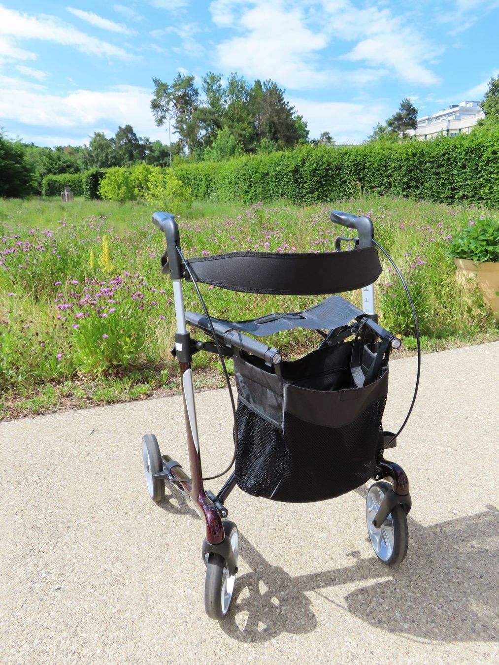 Ausili per la deambulazione: Rollator Vital Carbon – Usato da Reinach BL venduto da WBZ-Flohmarkt