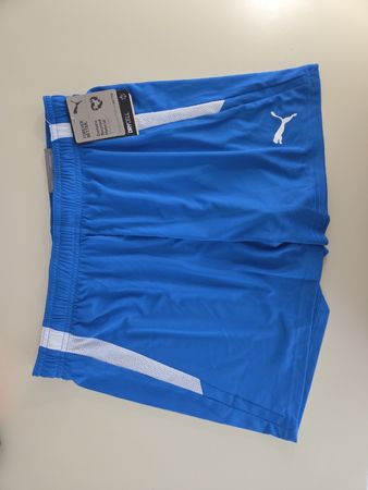 Puma Sport Shorts – Blau – Grösse M