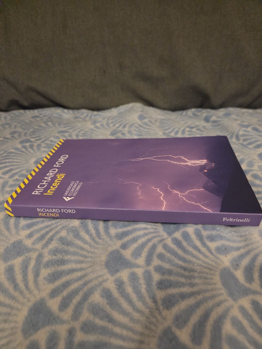 Libri: Richard Ford - Incendi, Feltrinelli – Usato da Nyon venduto da direwolf97 2