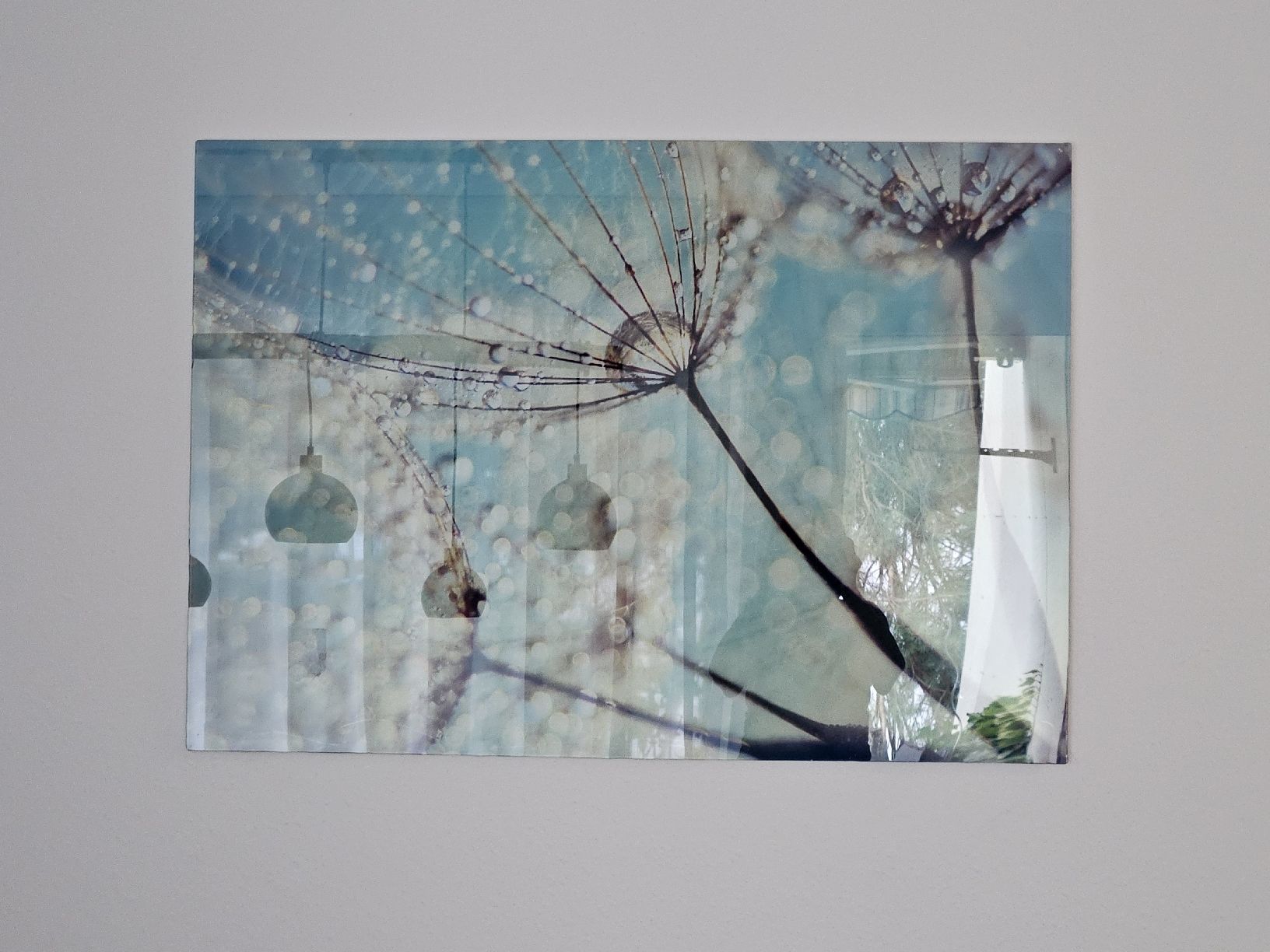 Posters & Illustrations: Glasbild Pusteblume Wassertropfen 100x70cm neu – D'occasion à Zofingen par Prune73