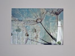 Glasbild Pusteblume Wassertropfen 100x70cm neu